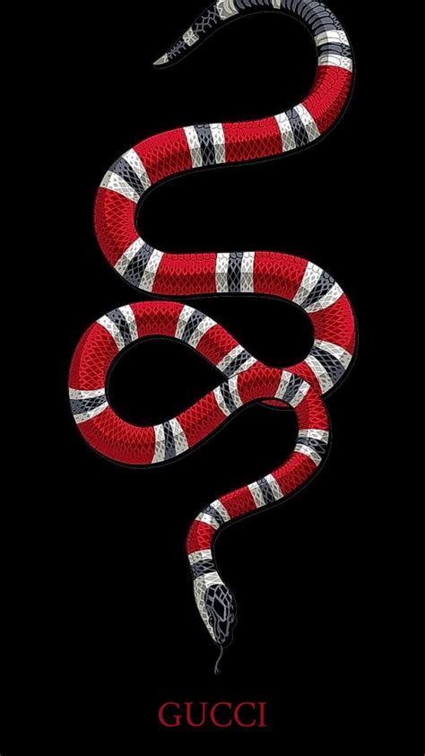 simple gucci snake|Gucci snake collection.